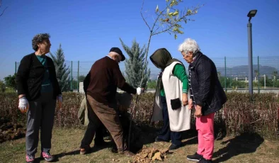 Mersin Şehir Hastanesinde 80 yaş üstü hastalar fidan dikti